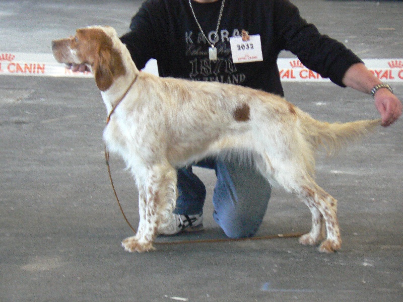 Elphie du val des Benauges